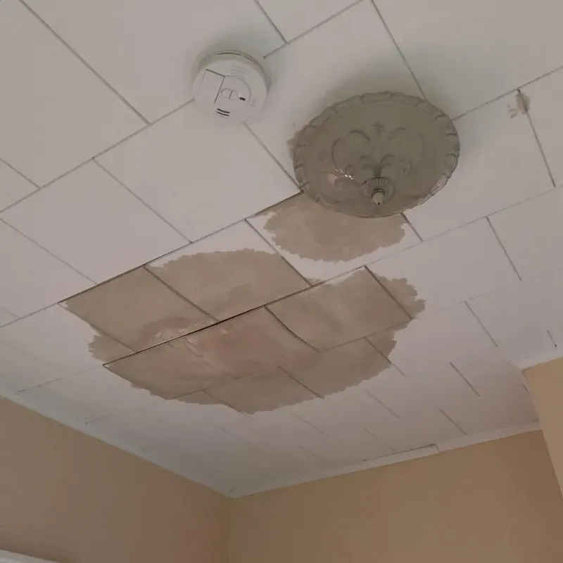 Ceiling Water Damage Repair in Lake Isabella, MI